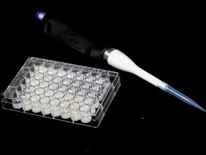 TestedSeminalTheories